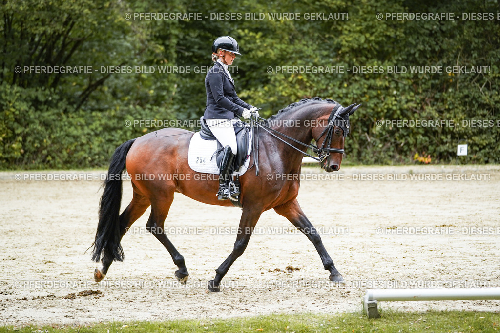 DSC09694 | Pferdegrafie