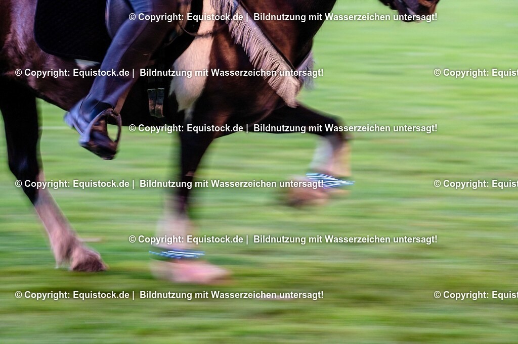 20250606_Lange-Pferdenacht_0923 | Foto: Thomas Hartig