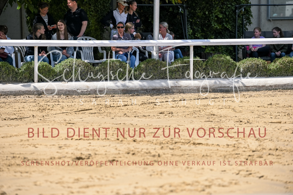 Schugtsche-Aluta25-58. Dressurprf.S1Kand.St.GeorgSpecial-97 | Schugtsche Fotografie - Realisiert mit Pictrs.com