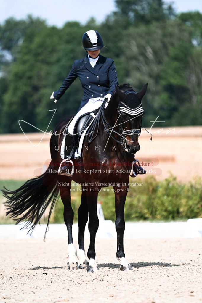DSC_3291 | Pferde- und Turnierfotografie in Westsachsen. Pferdeportraits, Auftragszeichnungen und intuitive Kunst.