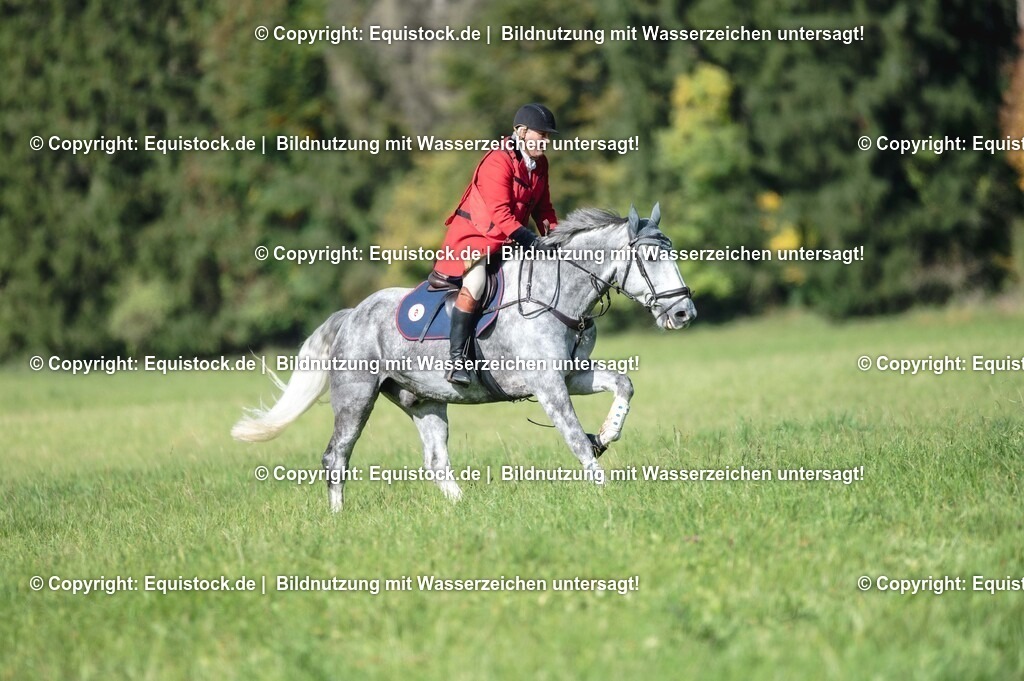 20251011_Jagd-Marbach_0229 | Foto: Thomas Hartig