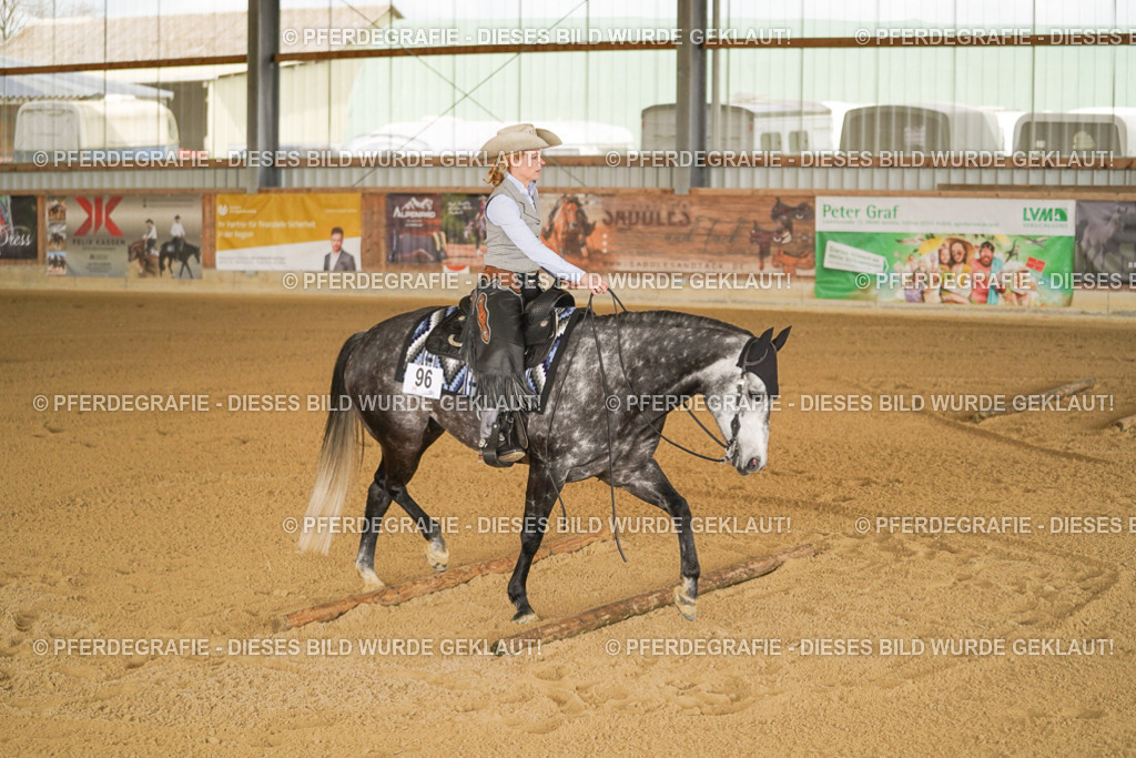 DSC03635 | Pferdegrafie