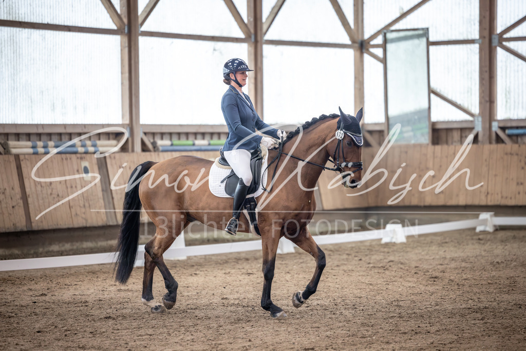 20251011-_3LI9856 | Tierfotografie Pferde, Hunde, Katzen, Haustiere.
Turnierfotografie Reitturniere, Reiten, Springreiten, Dressur in Hanau, dem Main-Kinzig-Kreis und dem Rhein-Main- Gebiet um Frankfurt