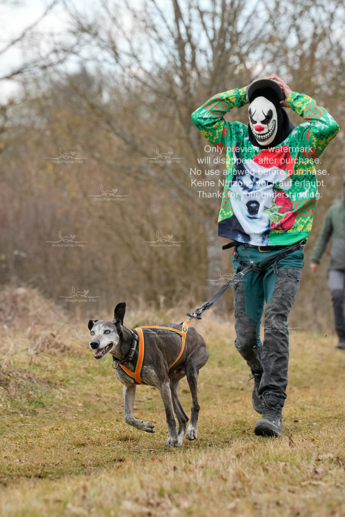 Fasching-38 | stephaniefillaphotographie - Realisiert mit Pictrs.com