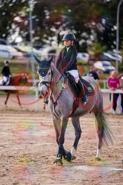 2026_10_03_Siefer-Hof_144949_Z81_27944871 | Professionelle Reitsport-, Turnier- und Eventfotografie von Robert Broda. Galerien mit ausgewählten und bearbeiteten Bildern direkt online ansehen und bestellen.