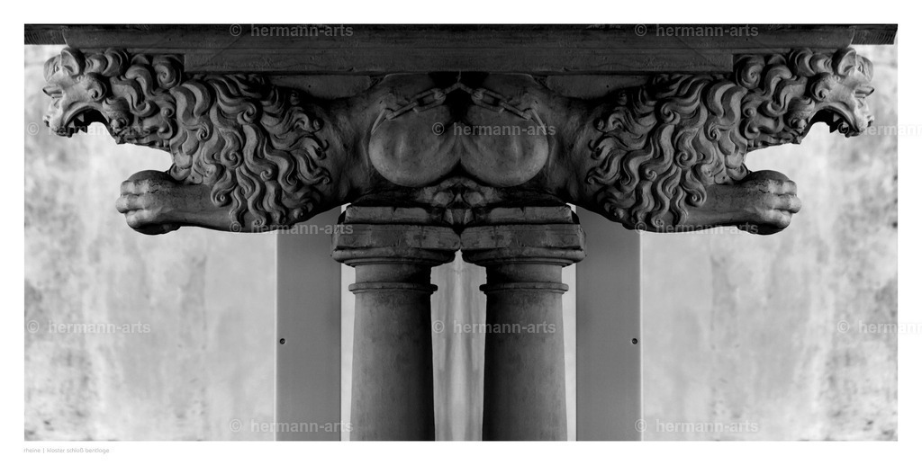selbstbegegnung_10_03_24_einzeln13 | Photo Foto Kunst Art schwarzweiss Bilder Rheine Münster Berlin Blumen 