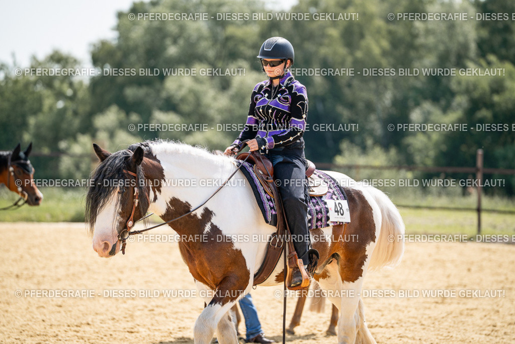 DSC00360 | Pferdegrafie