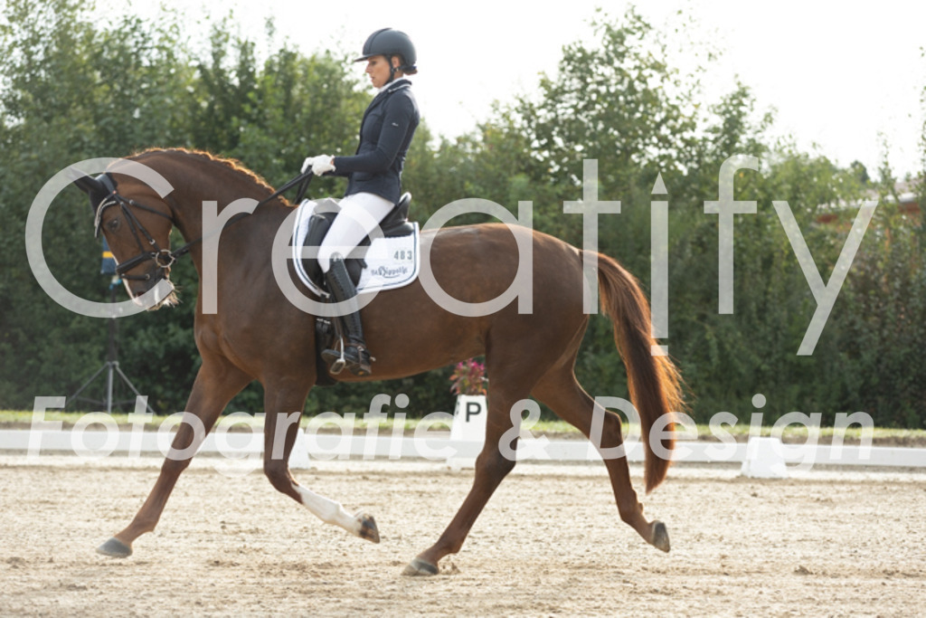 IMG_4183 | Creatify Fotografie