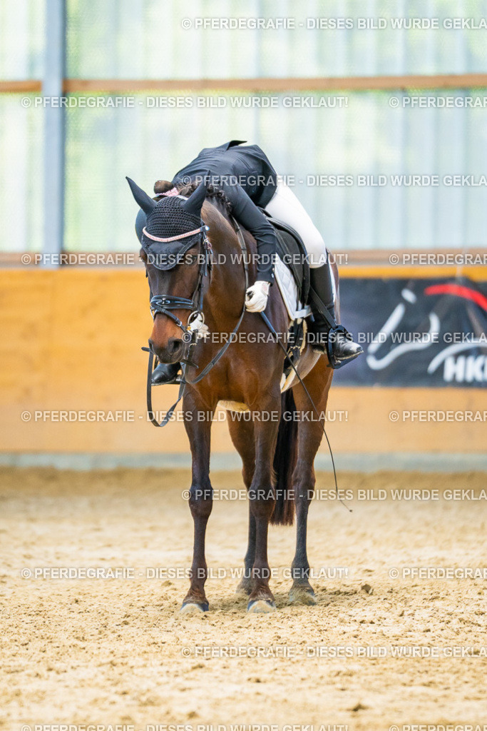 DSC07345 | Pferdegrafie