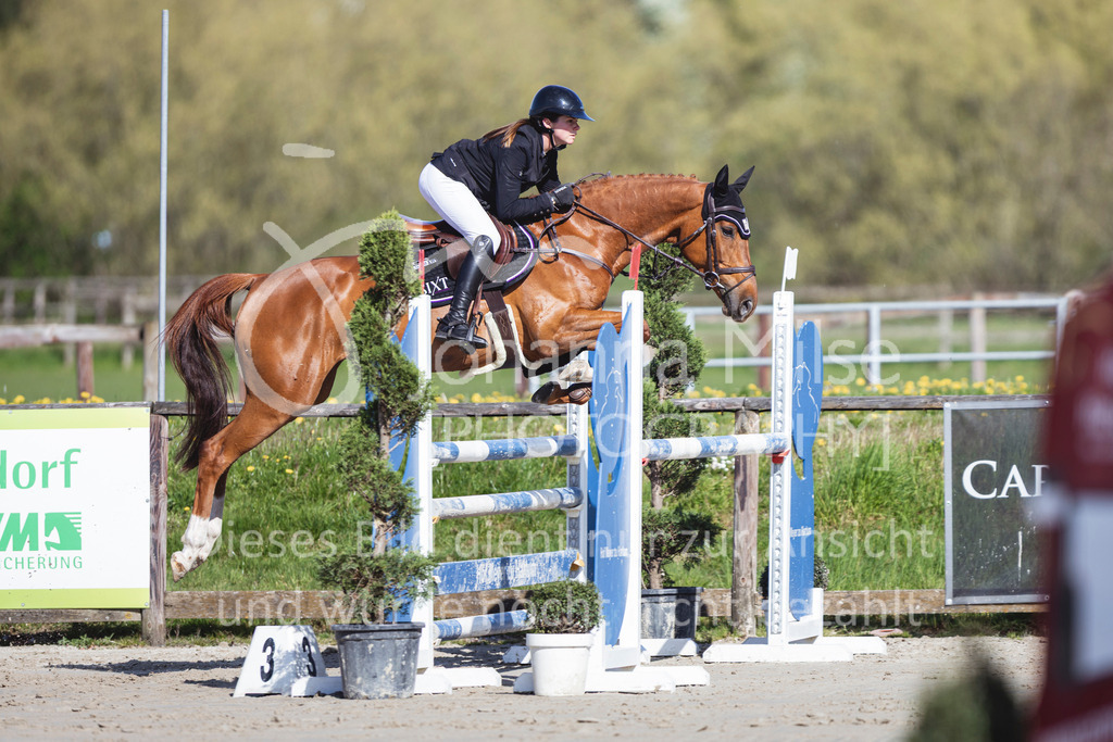 260421_Frühlingsfest_4_SprPf-L-410 | Deine schönsten Turniermomente als professionelle Fotos! Entdecke hochwertige Pferdesport-Fotografie im Online-Shop. Jetzt Fotos finden & bestellen!