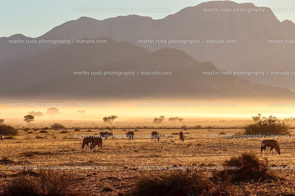 Namibia wakes up | Misty light of Namibian sunrise - Realisiert mit Pictrs.com