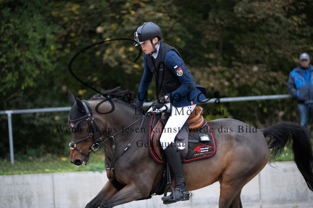 A7V08862 | Turnier/Reitfotograf