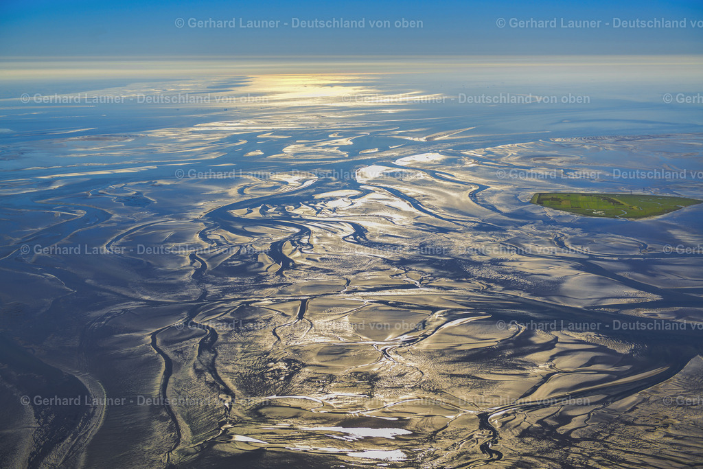3621126 | Nationalpark Hamburgisches Wattenmeer bei Neuwerk