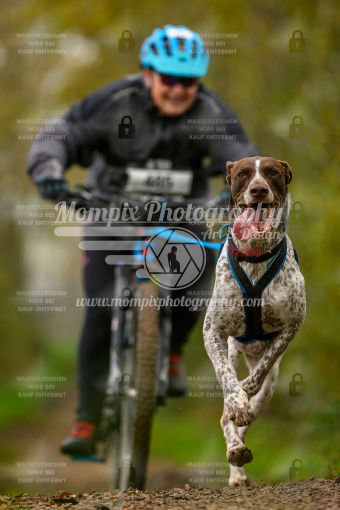MompixPhotography_20TSB_E6_Bike-167 | PayLife