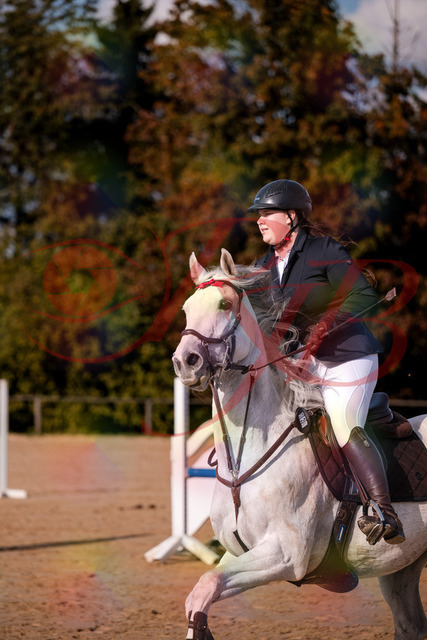 2026_10_03_Siefer-Hof_154014_Z81_56679733 | Professionelle Reitsport-, Turnier- und Eventfotografie von Robert Broda. Galerien mit ausgewählten und bearbeiteten Bildern direkt online ansehen und bestellen.