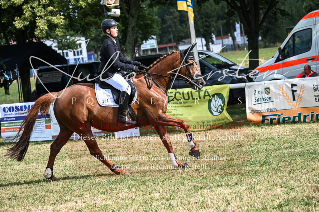 DSC_8168 | Pferde- und Turnierfotografie in Westsachsen. Pferdeportraits, Auftragszeichnungen und intuitive Kunst.