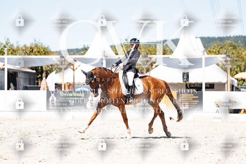 CK900359 | Turnierfotografie Pferdefotografie Trier Rheinland-Pfalz Pferdesport Reitsport Tierfotografie Sportfotografie Pferdevideo Pferdevideografie Equestrianvideography equestrianphotography  - Realisiert mit Pictrs.com