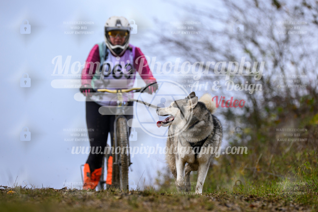 MompixPhotography_2OATB_SO_Scooter-50 | PayLife