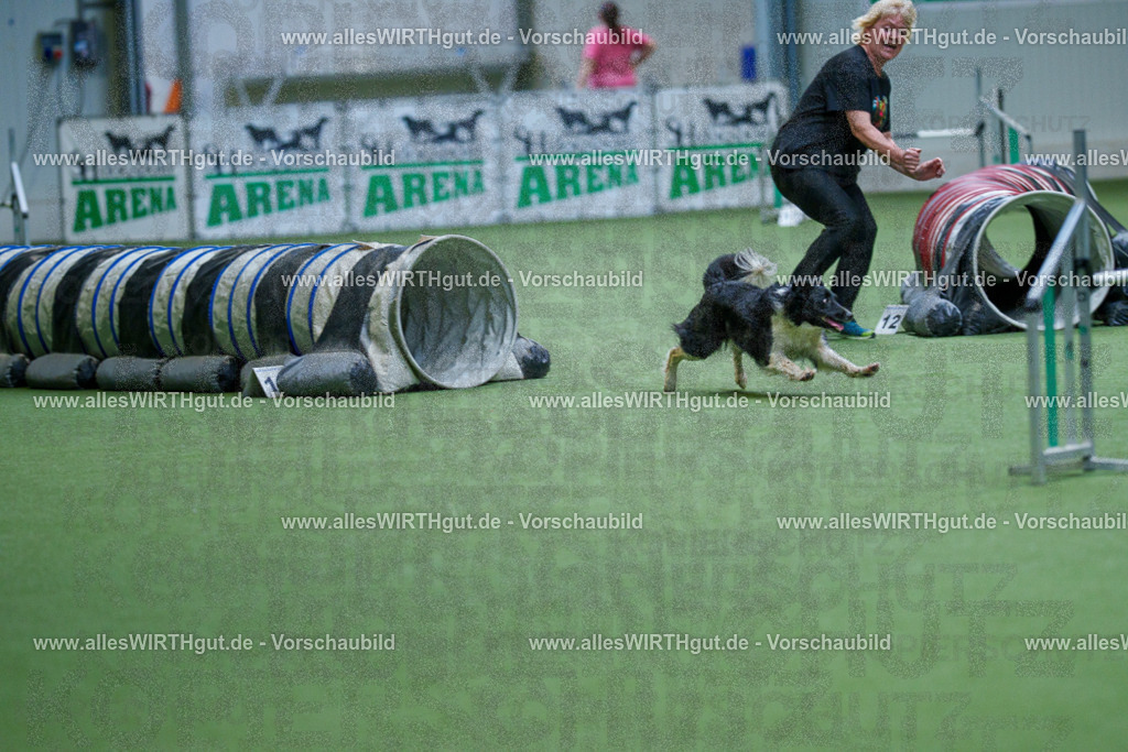 @allesWIRTHgut_Tierfotografie - www.allesWIRTHgut.de - 2604251101-7R500869 | Professionelle Tierfotografie in Mönchengladbach von Daniel Wirth (allesWIRTHgut). Liebevolle & natürliche Bilder von Hunden & Katzen für unvergessliche Erinnerungen.
