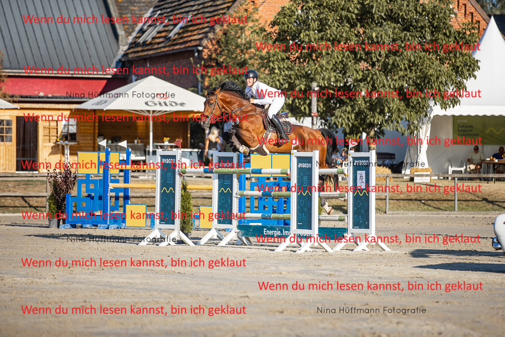 BK1A8794 | Turnierbilder Turnierfotos Nina Hüffmann Turnierfotografie Pferdefotografie Tierzeichnung Haustierzeichnung Pferdezeichnung Hundezeichnung Videograf  - Realisiert mit Pictrs.com