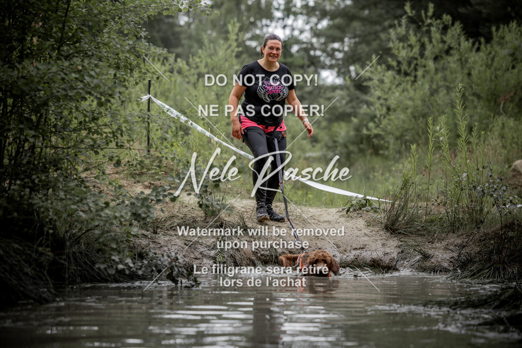 nelerasche_so0800-0930_492 | nelerasche