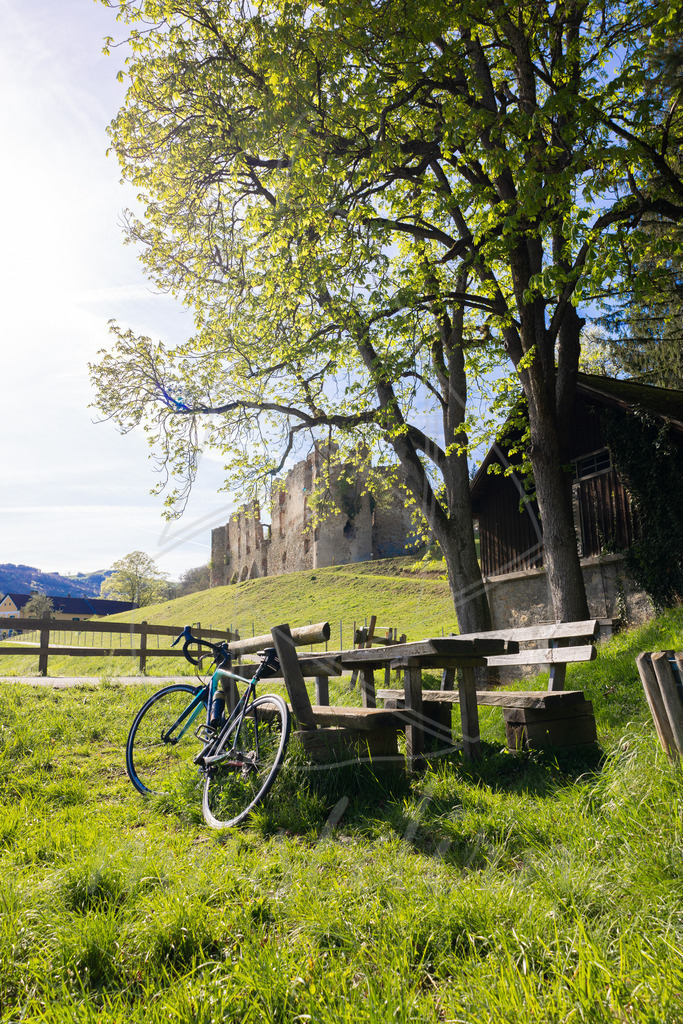 Birnbaumbluete_Mostviertel_2024_Mostdirn_Irmgard_Wieser-8152 | Ihre Fotografin im Lungau, ihre Fotografin im Mostviertel, Wandbilder Onlineshop, Imagefotos für Ihr Unternehmen,  - Realisiert mit Pictrs.com