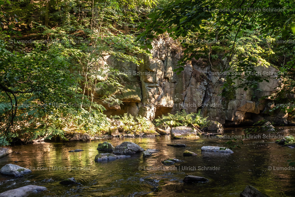 10049-12893 - Im Bodetal - Harz | Stockfoto und Bilderpool mit Bildmaterial aus Deutschland, dem Harz, Halberstadt, Quedlinburg, Wernigerode und weltweit. Qualitativ hochwertige und professionelle Fotos anschauen und kaufen. - Realisiert mit Pictrs.com