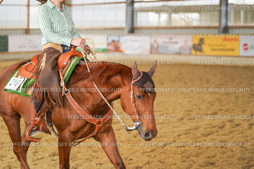 DSC05062 | Pferdegrafie