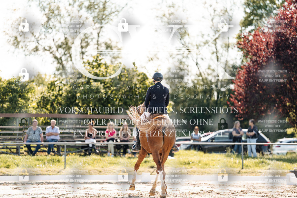 CK909314 | Turnierfotografie Pferdefotografie Trier Rheinland-Pfalz Pferdesport Reitsport Tierfotografie Sportfotografie Pferdevideo Pferdevideografie Equestrianvideography equestrianphotography  - Realisiert mit Pictrs.com