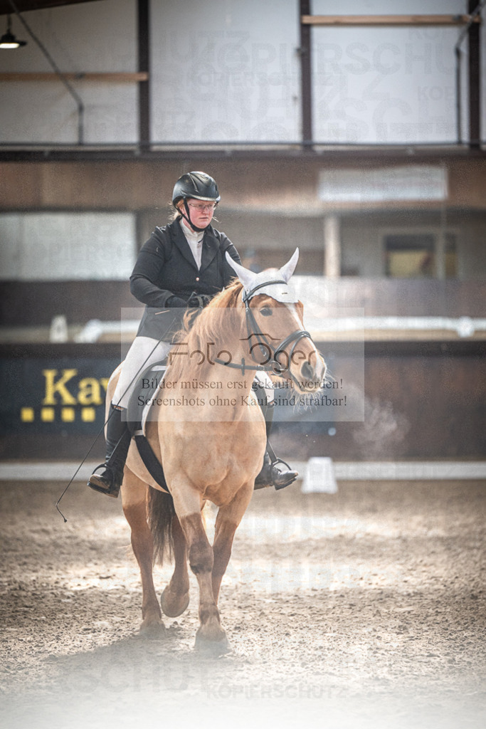 DOS_0444 | Entdecke hochwertige Reitturnierfotos von Foto Oger. Professionell, emotional und authentisch – jetzt Lieblingsmomente im Shop bestellen.Deutschlandweite Turnierfotografie. - Realisiert mit Pictrs.com