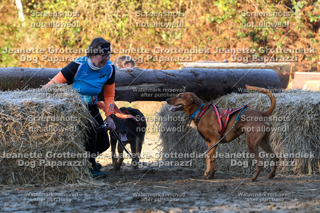 Dog Paparazzi - Strongdog 10-25-617 | Dog Paparazzi Jeanette Grottendiek Fotografie & Videografie - Realisiert mit Pictrs.com