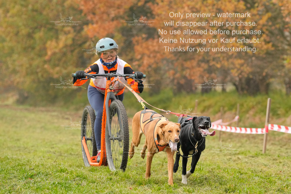 Visbeck_Sa_DS2DR2-16 | stephaniefillaphotographie - Realisiert mit Pictrs.com