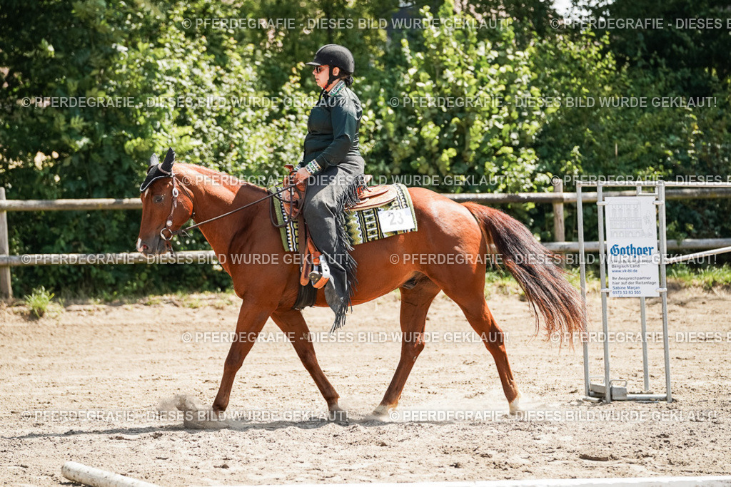 DSC06566 | Pferdegrafie