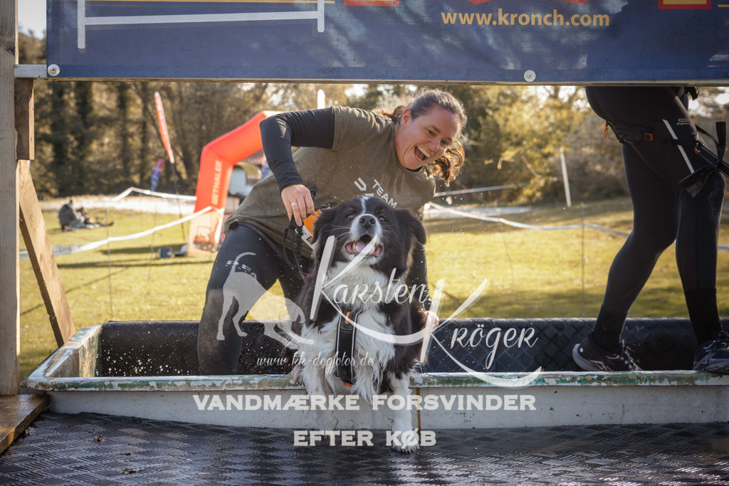 1216_ZZ95273 | kk-dogfotos