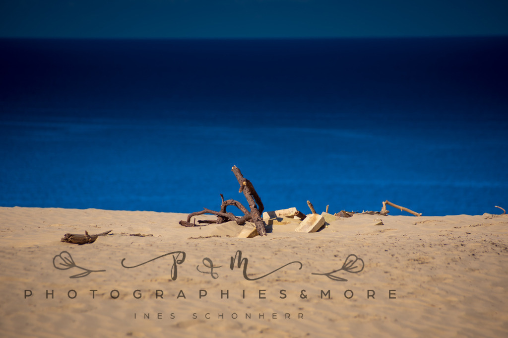 _Lighthouse2022-1287 | Photographies and more - Realisiert mit Pictrs.com