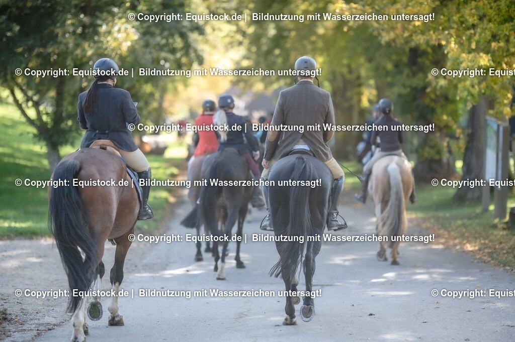 20251011_Jagd-Marbach_0622 | Foto: Thomas Hartig