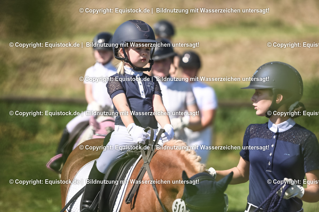 20230910_11-5_Führzügel-WB_0008 | Foto: Thomas Hartig