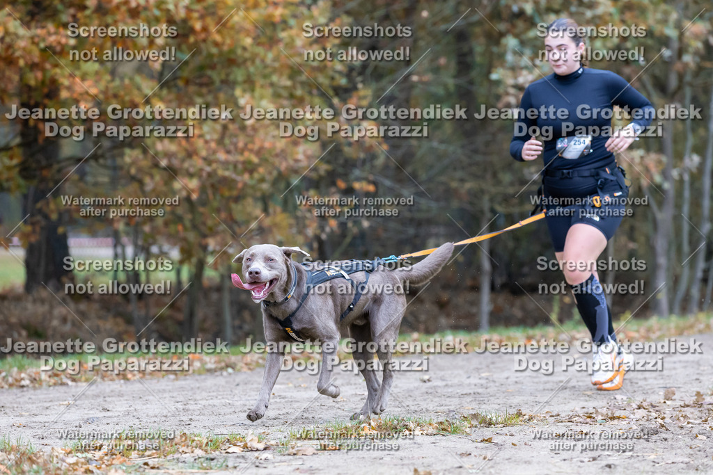 Dog Paparazzi - SD CaniX Championship 2025-527 | Dog Paparazzi Jeanette Grottendiek Fotografie & Videografie - Realisiert mit Pictrs.com