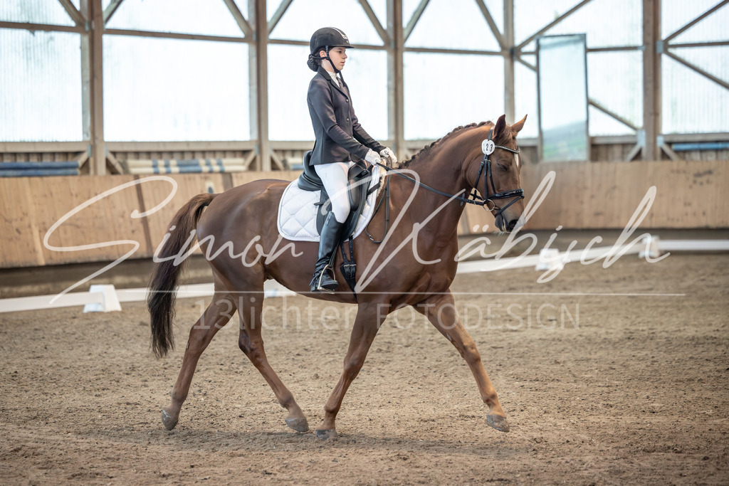 20251011-_3LI5862 | Tierfotografie Pferde, Hunde, Katzen, Haustiere.
Turnierfotografie Reitturniere, Reiten, Springreiten, Dressur in Hanau, dem Main-Kinzig-Kreis und dem Rhein-Main- Gebiet um Frankfurt