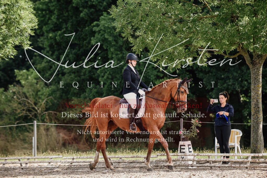 DSC_0291 | Pferde- und Turnierfotografie in Westsachsen. Pferdeportraits, Auftragszeichnungen und intuitive Kunst.