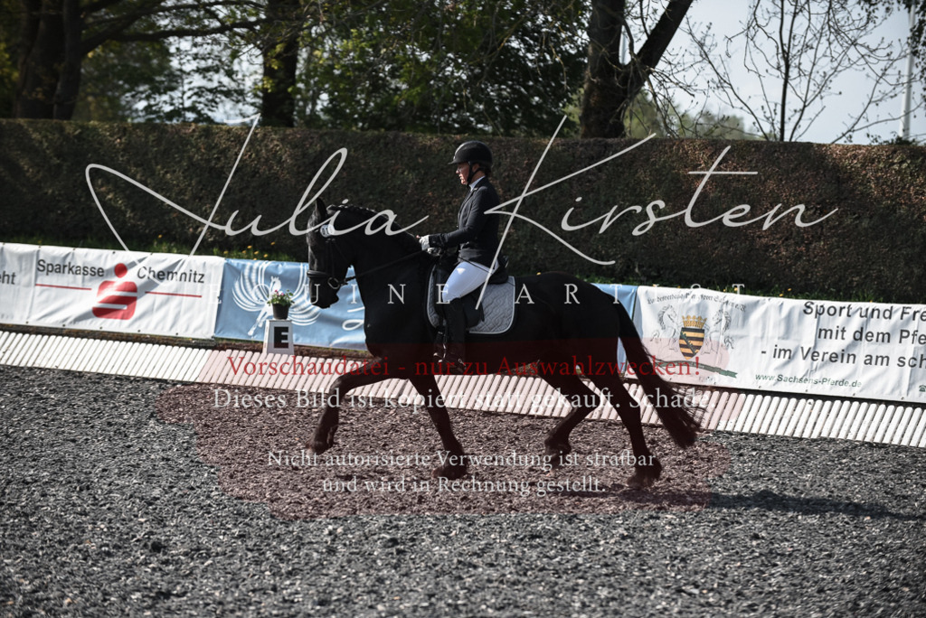 20230513_JK-Röhrsdorf-14-019 | Pferde- und Turnierfotografie in Westsachsen. Pferdeportraits, Auftragszeichnungen und intuitive Kunst.