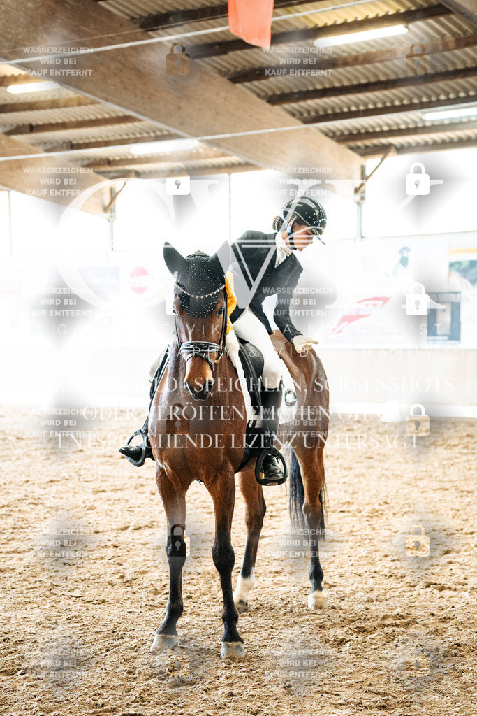 CK703130 | Turnierfotografie Pferdefotografie Trier Rheinland-Pfalz Pferdesport Reitsport Tierfotografie Sportfotografie Pferdevideo Pferdevideografie Equestrianvideography equestrianphotography  - Realized with Pictrs.com