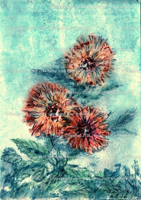 Asterngruß Variation 33 | Zeichnung von Vera Zschecked exclusiv auf titusgraphy.eu - Realisiert mit Pictrs.com