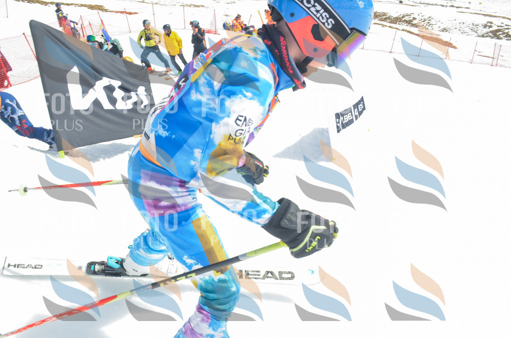 _ELE6594 | holidayphoto