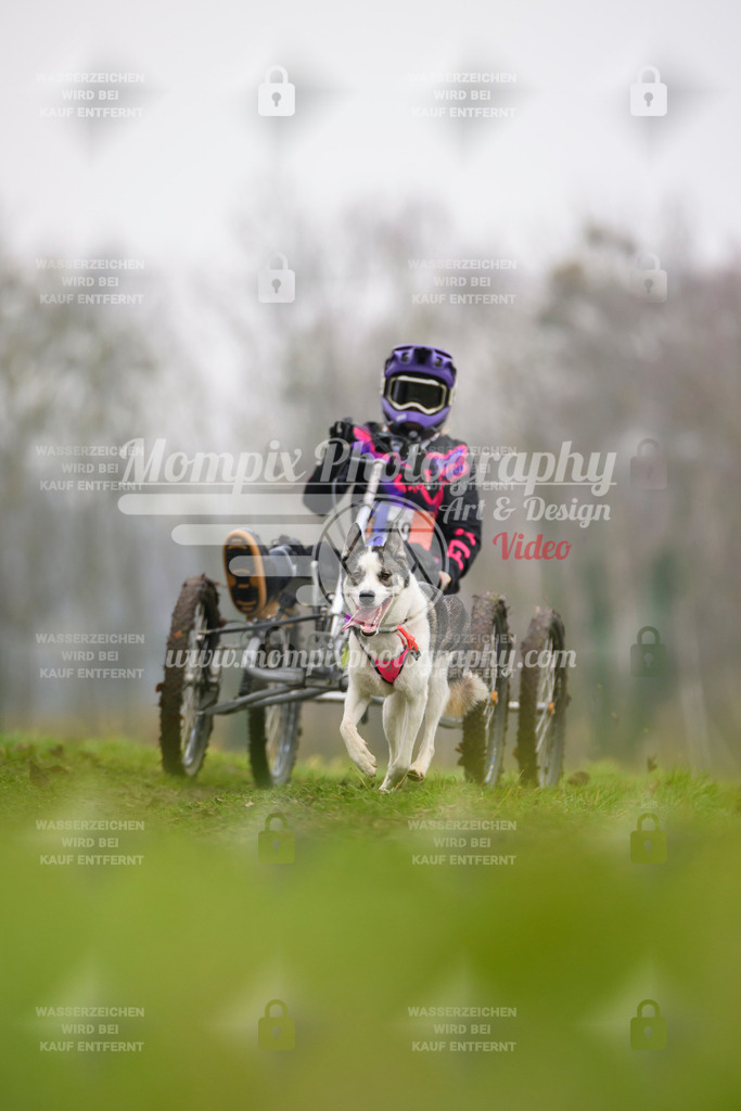 MompixPhotography_CDF2023_FFST_Di_Handimush-4 | PayLife