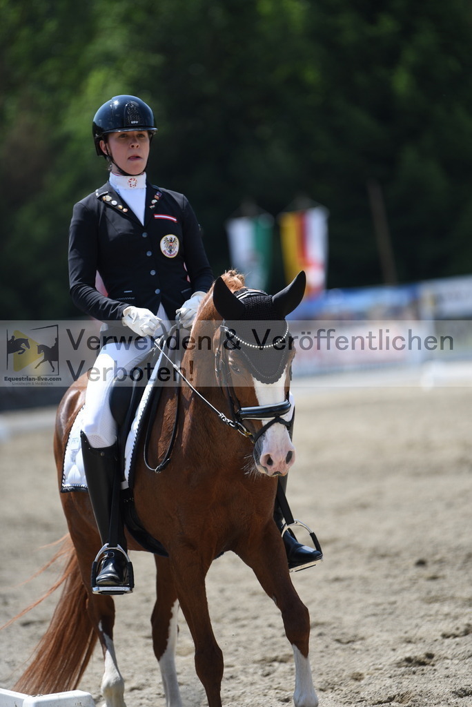 DSC_1158 | equestrian-live-com