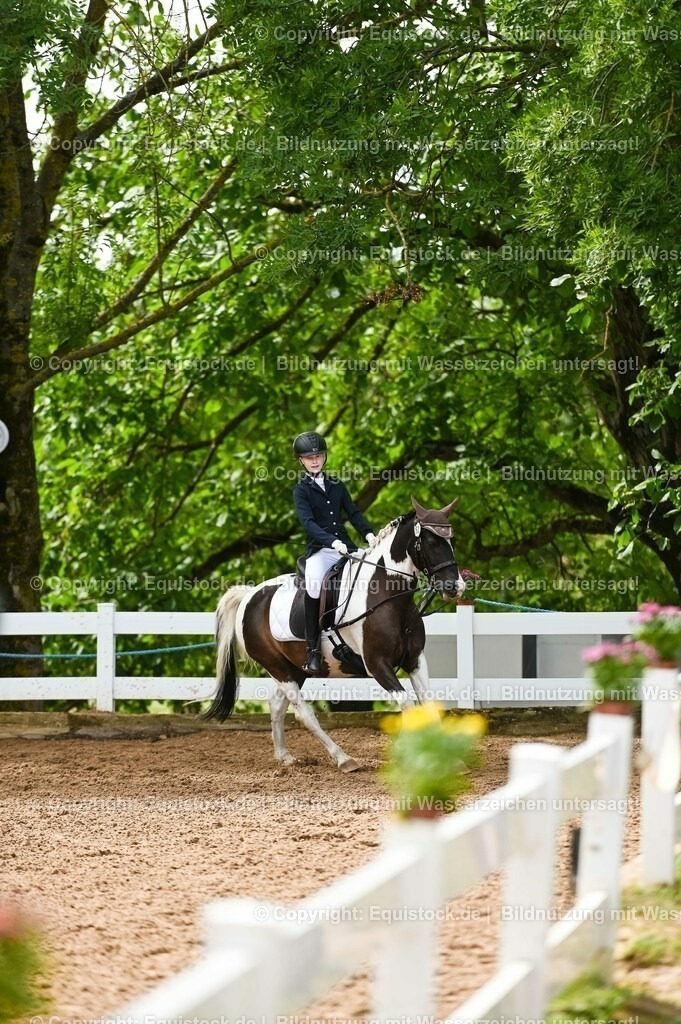20230716_10-2_Reiter-WB Schritt - Trab - Galopp_0158 | equistock