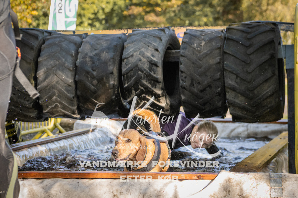 1100_ZZ93061 | kk-dogfotos