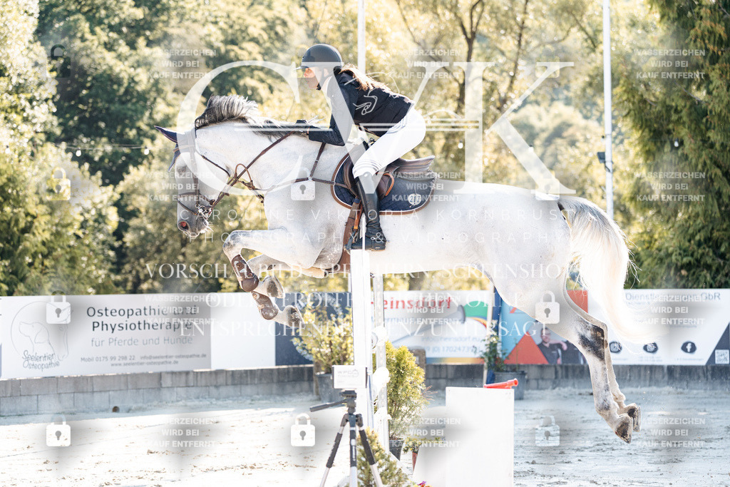 CK904363 | Turnierfotografie Pferdefotografie Trier Rheinland-Pfalz Pferdesport Reitsport Tierfotografie Sportfotografie Pferdevideo Pferdevideografie Equestrianvideography equestrianphotography  - Realisiert mit Pictrs.com