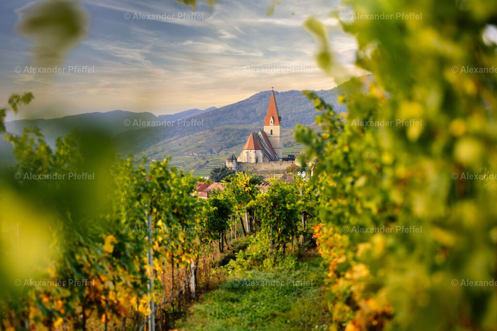 foto_c_pfeffel-partner-0056-R52_0030-Bearbeitet-2 | alexander-pfeffel - Realisiert mit Pictrs.com